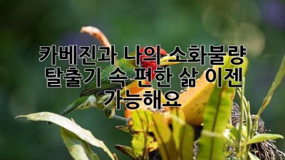 카베진과 나의 소화불량 탈출기: 속 편한 삶, 이젠 가능해요!