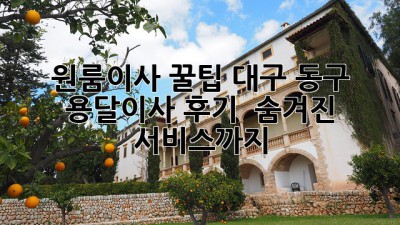 원룸이사 꿀팁🍯: 대구 동구 용달이사 후기 & 숨겨진 서비스까지!
